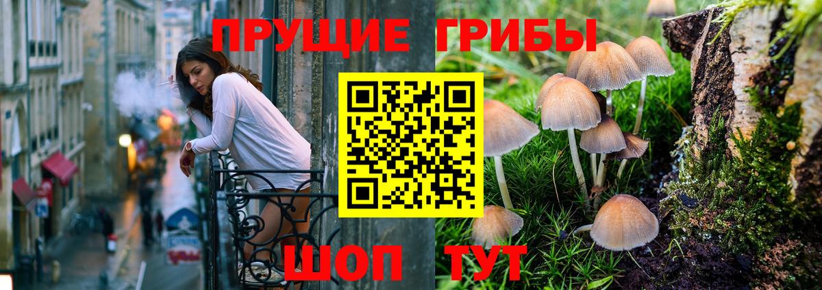 Камышин  Галлюциногенные грибы MAGIC MUSHROOMS  наркошоп  Вход с VPN  Галлюциногенные грибы ЛСД 