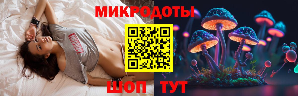 Галлюциногенные грибы Psilocybine cubensis Камышин